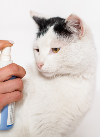 Spray de Clorexidina 0,5% para Uso Veterinário